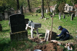 IMG_1829 IMG_1829